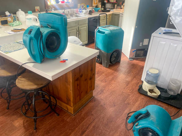 Best Sewage cleanup and water damage restoration  in Oberlin, KS