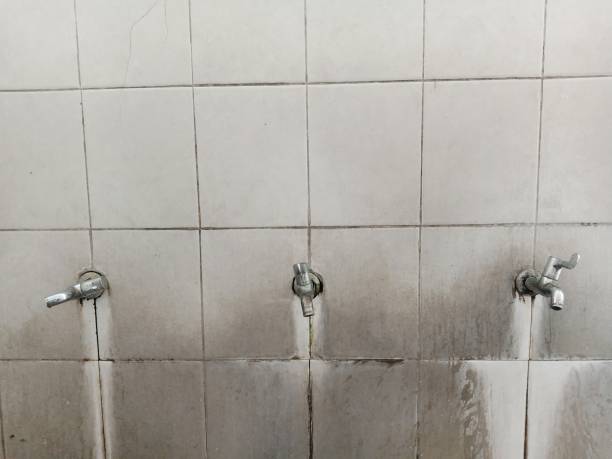 Best Flood restoration services  in Oberlin, KS