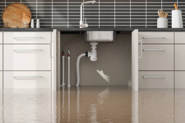 Best Flood restoration services  in Oberlin, KS